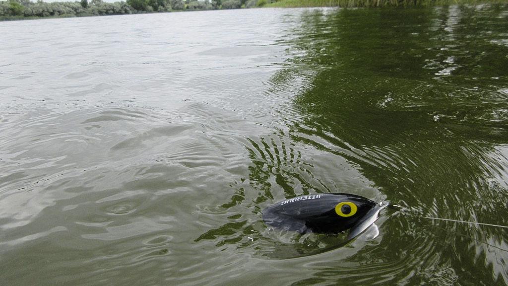 Stay on top of summer fishing with top-water lures